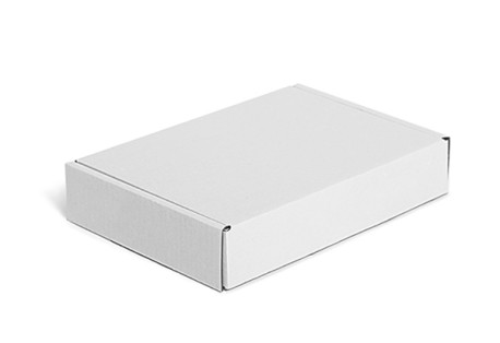 PAKKS Versandschachtel Maxibrief 1 - weiß (218x152x42mm)