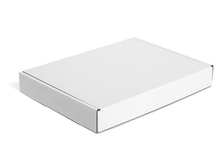 PAKKS Versandschachtel Maxibrief 2 - weiß (328x242x45mm)